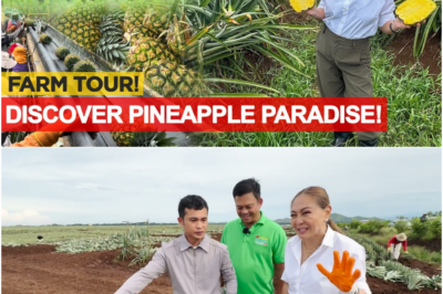 FARM HEAVEN SA BUKIDNON: Ang Lihim sa Likod ng 100 Taong Tagumpay ng Del Monte at ang Kanilang ‘Radikal’ na Malasakit sa Magsasaka