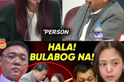 EKSKLUSIBO: POGO Executive Cassandra Ong, BINULABOG ang Kongreso; Harry Roque, Nalagay sa Alanganin Dahil sa Milyon-Milyong Transaksyon