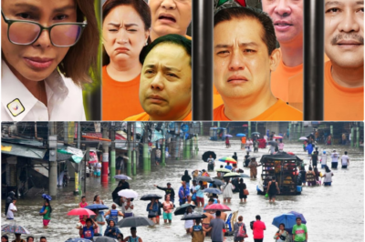 Hustisya sa Gitna ng Baha: 87 Indibidwal Kakasuhan sa Bilyong Pisong Flood Control Corruption Scandal!