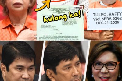 Katotohanan sa Likod ng Umanoy Kasong Isinampa ni Jocelyn Tulfo Laban kay Raffy: Search Warrant at Arrest Order, Gaano ba Katotoo? NH