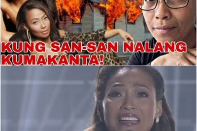 Mula sa Abo ng Trahedya Patungo sa Bagong Pag-asa: Ang Matapang na Hamon at Bagong Buhay ni Jaya sa Amerika