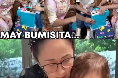 Paskong Punong-puno ng Pag-ibig: Ang Madamdaming Pagbisita ni Vilma Santos kay Baby Peanut na Nagpaiyak sa Netizens NH