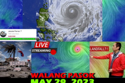 SUPER TYPHOON BETTY (MAWAR): Ang Pambihirang Pag-iwas at ang Ating Sikreto sa Pagtindig Laban sa Pinakamalakas na Bagyo ng Taon