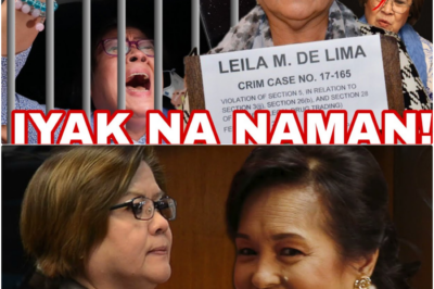 Mula Rehas Patungong Kongreso: Ang Bagong Yugto sa Buhay ni Leila de Lima at ang Misteryo sa Likod ng Muling Paglitaw ni Ronnie Dayan ngayong 2025!