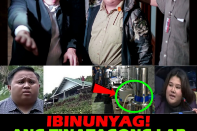 ANG NAKAKABIGLANG KABALINTUNAAN: Senador, Nagtanong ng Ebidensya sa ‘Shabu Lab’ ni Senyor Agila—Ang Sagot Mula sa Taga-usig, Puno ng Pagdududa at Kawalan ng Kongkretong Pruweba