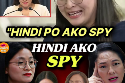 MAYOR ALICE GUO: MULA KASAMBAHAY NA INA HANGGANG FUGITIVE NA PARTNER SA BILYONG POGO HUB? Senador, Naglantad ng Nakakagimbal na Web ng POGO Politics at Pambansang Seguridad