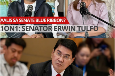 Bilyon-bilyong Piso sa Maleta: Nagbabanggaang Kapangyarihan sa Blue Ribbon, Nagdududa si Sen. Tulfo sa Mga Testigo