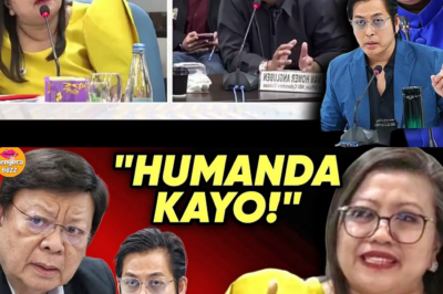 ANG NAKAKABAHALANG PARADOXA: BAKIT WALANG WARRANTS OF ARREST PARA SA MGA VLOGGER NA NAGPAPALAGANAP NG FAKE NEWS—AT ANG HAMON NG “WALANG HANGGANG” INTERNET