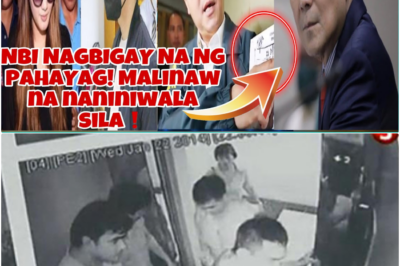 KATOTOHANAN SA LIKOD NG CCTV: NBI KINUMPIRMA ANG PAGTUGMA NG PAHAYAG NI VHONG NAVARRO LABAN SA MGA LAPSES NI DENICE CORNEJO!