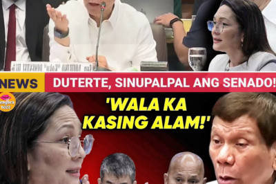 ANG NAKABIBINGING KUMPISAL: INAMIN NI DUTERTE ANG PAGPAPATAY AT “GANGSTER DEATH SQUAD” PARA PROTEKTAHAN ANG KANYANG MGA PULIS