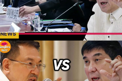 WILLIE REVILLAME, HUMINGI NG PATAWAD SA PUBLIKO MATAPOS IBUNYAG ANG SIKRETONG NASA LIKOD NG KANYANG EMOSYONAL NA PAMAMAHINGA; TINAPOS ANG MGA TSISMIS TUNGKOL SA PAG-ALIS SA TELEBISYON