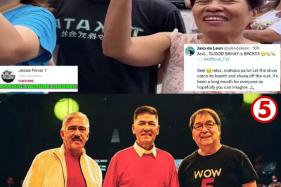 TITO, VIC, AT JOEY: HINDI NAPATID NA BUHOK NA PILAK! Ang Emosyonal na Pagbabalik ng Dabarkads na Nagpapatunay na Walang Katapusan ang ‘Isang Era’ ng Pamilya at Puso