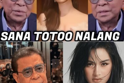 Chavit Singson at Jillian Ward: Ang Katotohanan sa Likod ng mga Usap-Usapan at ang Kontrobersyal na Biro na Nagpaiingay sa Social Media NH