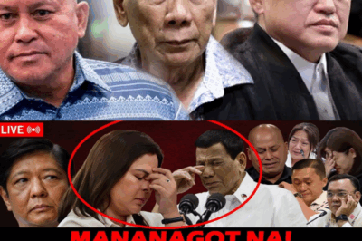 Panahon na ng Pagsingil! ‘Davao Template’ at POGO Syndicates, Binuking ng Kongreso: Mga Dating Opisyal at Sindikatong Tsino, Kakasuhan ng “Crimes Against Humanity”