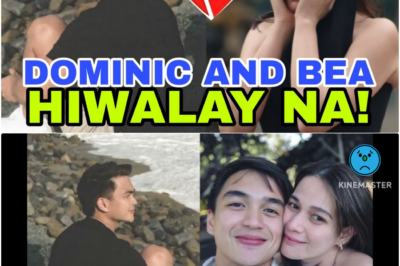 PUTOL NA ENGAGEMENT: Bea Alonzo at Dominic Roque, Kumpirmadong HIWALAY NA! Ano ang Sabi ng Sikat na Host Tungkol sa Biglaang Pagkawasak ng Pangarap?