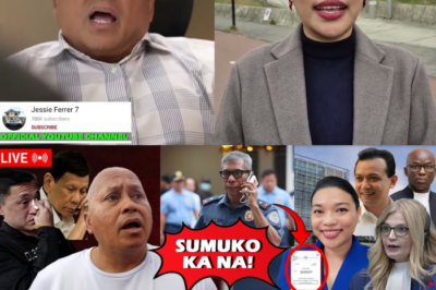 TAPOS NA ANG USAPAN: ICC, KINUMPIRMA ANG JURISDICTION; HULING DEFENSA NG KAMPANYA SA DROGA, GUMUHO; ARESTONG KINA SEN. BATO AT BONG GO, NAKABITIN NA!