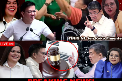 PIMENTEL vs. ESCUDERO: BANGAYAN SA IMPIT NA PAGLILITIS NI VP SARA DUTERTE—Bakit Hulyo 30 Pa Dapat Magsimula, at Ano ang Taliwas sa Konstitusyon?