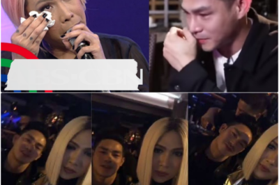 Pag-ibig sa Gitna ng Pagsubok: Ang Madamdaming Pakiusap ni Vice Ganda at Ion Perez para sa Kanilang Kaligayahan