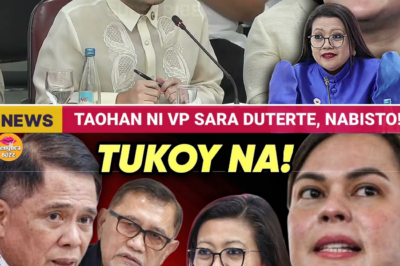 PINANSYAL NA HIWAGA: Opisyal ng DepEd, “Nag-Teleport” sa 26 na Lugar sa Isang Araw; Imposibleng Paggasta ng Milyon-Milyong Pondo ni VP Sara, Nabunyag sa Kongreso