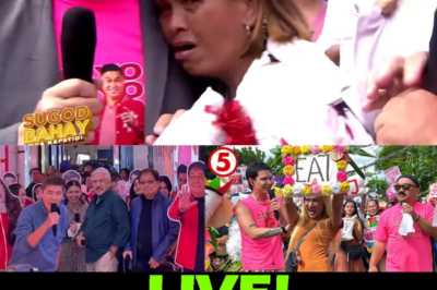 Luha at Kanta: Solo Parent na Labandera, Binulaga ng TVJ at Ginawang Milyonarya ni Bossing Vic sa Sugod Bahay!