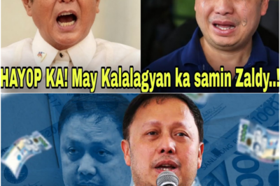IBALIK ANG PERA NG BAYAN: PASSPORT NI ZALDY CO KANSELADO NA; PBBM NAGLABAS NG MATINDING BABALA LABAN SA MGA ‘SINDIKATO’ NG FLOOD CONTROL!