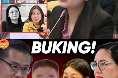 MGA PEKENG DOKUMENTO NI ALICE GUO, BUKING NA! Direkta siyang SANGKOT sa BILYONG-PISONG OPERASYON ng ILLEGAL POGO sa Bamban