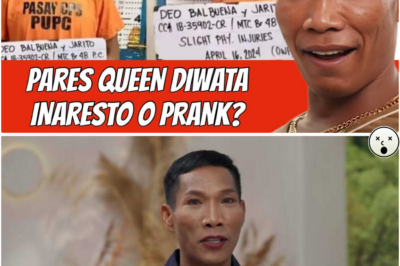 Mula Ilalim ng Tulay Patungong ‘Batang Quiapo’: Ang Makabagbag-damdaming Kwento ni Diwata at ang Katotohanan sa Likod ng Kanyang Pag-aresto