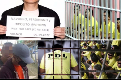 Ang Muling Pagbangon: Epekto ng Desisyon ng Korte sa Kasong Navarro-Cornejo, Isang Dekadang Laban Para sa Katotohanan