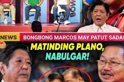 IBINULGAR! Mga Ayuda, Ginagamit Daw Para Bilihin ang 2028: Ang Plano ni Martin Romualdez, Inilatag ni Manny Piñol
