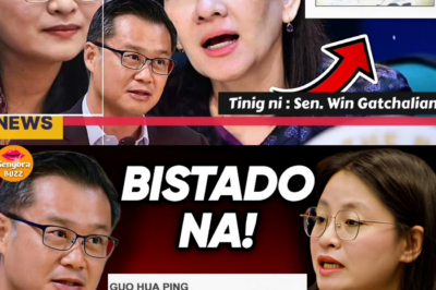 ALICE GUO BISTADO ANG MALAGIM NA SEKRETO: ANG PAGKUKUNWARI BILANG PILIPINO, NABUYANGYANG—SISTEMANG PILIPINO, NALUSUTAN!