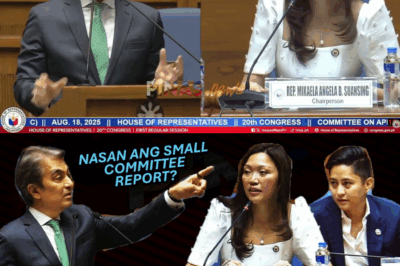 NAWAWALANG SMALL COMMITTEE REPORT: Tiangco, Ibinisto ang “Sikreto” sa Bilyon-Bilyong Budget Surge; Pinilit ang Aklat ng Kongreso na Hindi Naibibigay sa Taumbayan