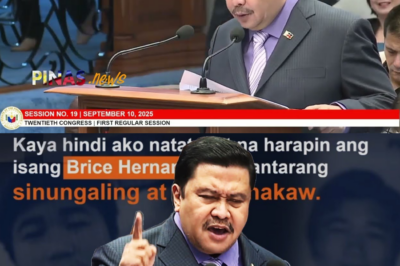 KASINUNGALINGAN NI BRYCE HERNANDEZ, DINUROG! GALIT NI SEN. ESTRADA, SUMABOG: Bilyong Ghost Projects, Pera sa Casino, at mga LUHONG KOTSE, Ibubulgar!