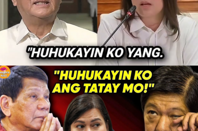 P125M Confidential Funds ng OVP, Hinalukay: P45K Arawang Renta, Resibo Lang ang Katibayan, at ang ‘Bulag’ na Audit na Nagbabala sa Kaban ng Bayan