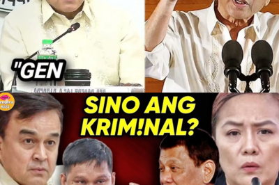 Ang Pagpatay Kay Atty. Barayuga: Ang Madilim na Konspirasyon ng ‘Kingsmen’ sa PCSO, Nabunyag sa Harap ng Kongreso