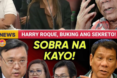 ANG HIWAGA NG MGA “COINCIDENCE”: Serye ng mga Nakakagulat na Koneksyon ni Harry Roque sa POGO Network na Lucky South 99, Binusisi ng Kongreso