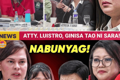 4 Black Bags, P125-Milyon Cash: Ang Nakakagimbal na Pag-amin ni Gina Acosta sa Di-Awdorisadong Paglipat ng Pondo ng OVP
