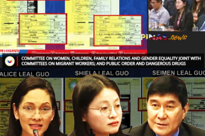 Gumuho ang “Cinderella Story”: Butas-Butas na Pagkakakilanlan at ang Misteryo ng mga ‘Non-Existent’ na Magulang ni Mayor Alice Guo, Tuluyan Nang Nalantad sa Senado