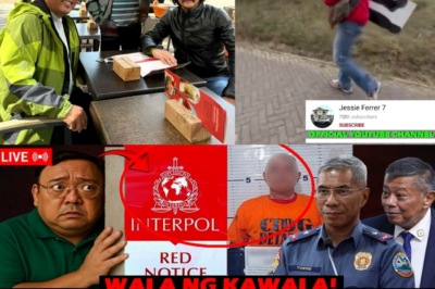 PASAPORTE KINANSELA, ASYLUM MALABONG IPAGKALOOB: HARRY ROQUE, NAKATAKDANG I-DEPORT PABALIK NG PILIPINAS DAHIL SA ‘QUALIFIED HUMAN TRAFFICKING’