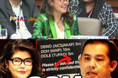 P20 Milyong Alok sa Bawat Kongresista, Meeting sa Mansiyon ni Speaker Romualdez: Ang Nakakagimbal na Sikreto sa Likod ng People’s Initiative