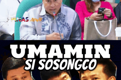 IBINULGAR! P6.7 BILYONG KASINUNGALINGAN: SOSONGCO, UMAMIN NA SA PAGTATAKIP SA LIKOD NG HISTORIKONG DRUG HAUL; BUONG KATAWAN NG PULISYA, NABALOT SA LALIM NG KONSPIRASYON