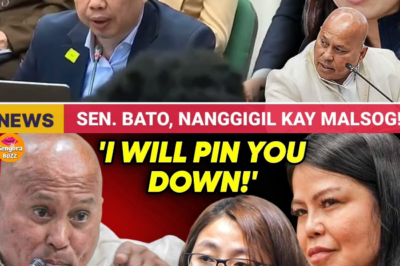 HIMALA NG KASINUNGALINGAN: Ang “Patay” na Text Book Scammer na Si Mary Ann Maslog, Sentro ng Iregular na Operasyon Para Ituro ang mga Mataas na Opisyal Bilang “Utak” ng Alice Guo POGO Scam