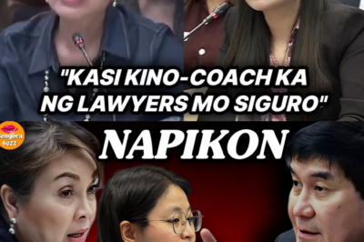 P6.1-BILYONG ISKEMA NG SALOT SA PAMBANSANG SEGURIDAD: SININGIL SI MAYOR ALICE GUO SA MISTERIOSONG PAGKATAO AT MGA KASINUNGALINGAN!