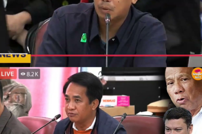 Ang Tara System ay Buhay: Ang Madilim na Kabalintunaan—Bakit Ang Nanghuli ng Bilyong Halaga ng Droga, SIYA PA ANG NAG-IISA NA NAKAKULONG?