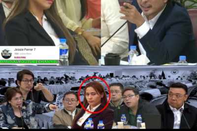 HINDI PANIWALAAN: CORPORATE SECRETARY NG LUCKY SOUTH 99, IKULONG SA KAMARA DAHIL SA ‘PATULOY NA PAGSISINUNGALING’ TUNGKOL SA MGA TUNAY NA MAY-ARI