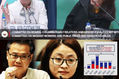 ANG BANK ACCOUNTS NI ALICE GUO, TUMAMBAD SA BILYON-BILYONG PONDONG MAY KONEKSYON SA POGO: Aktibong Pakikilahok, Napatunayan ng mga Senador!