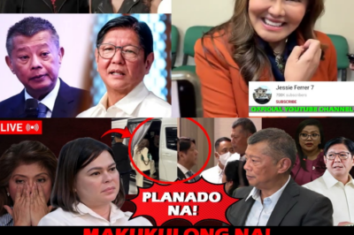 ANG NAKATATAKOT NA KATOTOHANAN SA LIKOD NG ‘EDIFICE COMPLEX’ NI IMELDA MARCOS: Isang Emosyonal na Pagtatanggol sa Panahon ng Kontrobersiya