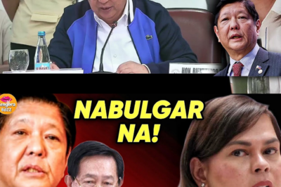 BILYUN-BILYONG CF NI SARA NABULGAR: Imposibleng Disbursing, Pekeng Payees, at ‘Code Name’ na Patay sa PSA—Sapat Ba sa Kaso ng Plunder?