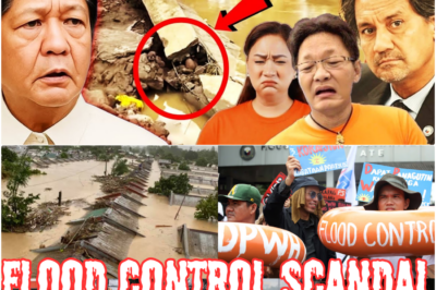 Kontrobersiya sa Bilyong-Pisong Flood Control Project: Kongresista, Inakusahan ng ‘Doxing’ sa Media; ‘Nepo Babies’ at 40% Kickback, Binulgar ng Whistleblower