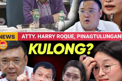 Simple na Pagmamalasakit, Hindi Inasahang Luha: Reaksyon ng Dalawang Pulis, Nagbigay-Liwanag sa Tunay na Kahulugan ng Serbisyo at Pagkatao