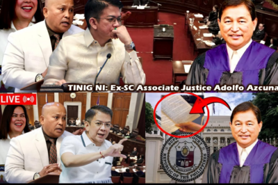 PAG-A-ARCHIVE SA IMPEACHMENT NI VP DUTERTE: Nagbabala ang mga Legal na Titans ng Bansa sa Ginawang ‘Maling’ Pagbasa ng Korte Suprema sa Konstitusyon, Habang Iniiwasan ang Isang Constitutional Crisis